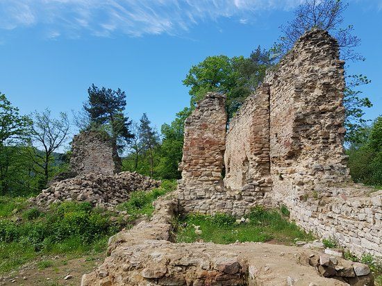 Zamek w Roznowie